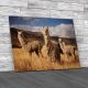 Llamas In Andes Mountains Peru Canvas Print Large Picture Wall Art