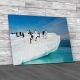 Adelie Penguins Canvas Print Large Picture Wall Art