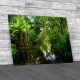 Amazon Jungle Yasuni Ecuador Canvas Print Large Picture Wall Art