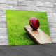 Cricket Ball Resting On A Cricket Bat Canvas Print Large Picture Wall Art