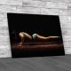 Athletic Woman Pushed From The Floor Canvas Print Large Picture Wall Art