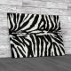 Zebra Fur Canvas Print Large Picture Wall Art